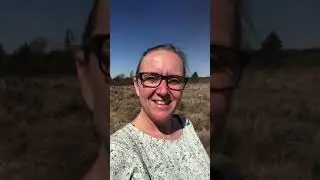 Stress & Naturterapi med Ivonne fra Mental Sundhed