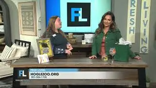 Preview of the Zoolights at Utah's Hogle Zoo