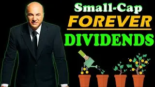 5 Small-Cap Dividend Stocks to Buy & Hold FOREVER!! - 