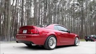 REVVING SO LOUD THAT IT MOVES CAMERA - 2003 mustang cobra