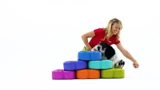 Canine Conditioning Fitness Coach [Certification Course]