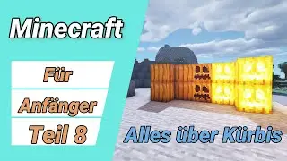 Alles &uuml;ber den K&uuml;rbis? I Minecraft f&uuml;r Anf&auml;nger ✅ 1.16.4