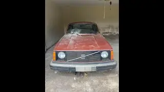 1977 Volvo 244 rust free barn find!