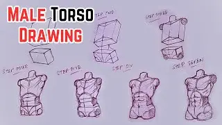 HOW to Draw a MALE TORSO from Basic Shapes in 7 Easy Steps