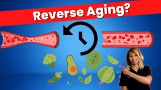 Turn Back Time on Your Aging Blood Vessels (Endothelial Cell Dysfunction)