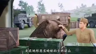 War Heroes of the Lower Ranks: Votie - Brown Bear #Votie #BrownBear #WarHeroes