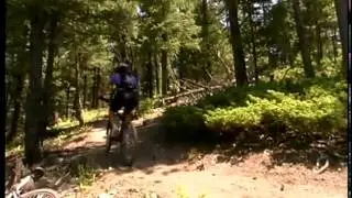 Colorado Outdoors - Pike National Forest