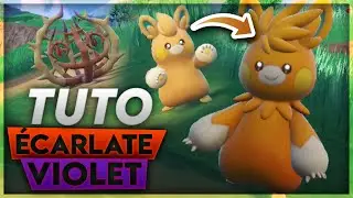 Comment &Eacute;VOLUER Pohmotte & Virovent en Pohmarmotte & Virevorreur ? - Pok&eacute;mon &Eacute;carlate & Violet