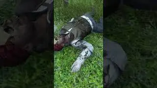 When DayZ Makes You Cry With Laughter