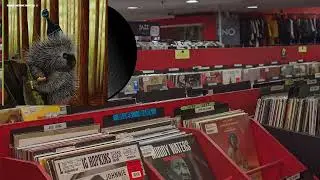 Madlib 