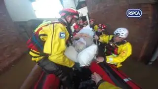 Flood rescue in action