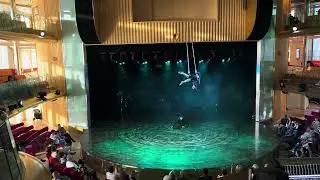 Aerial Straps - 