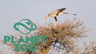 Secretary Bird Habitat Speed build: Planet Zoo