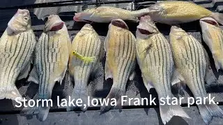 Yellow bass fishing with minnow small fry jig 1/32oz.