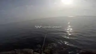 Spinning from the rocks
