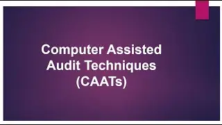 Computer Assisted Audit Techniques