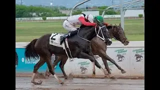 JAMAICA RACING: Comehometome Hangs On To Close Sat, Aug 30, 2025