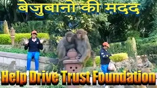 Fooding cute monkey | बेजुबानो की मदद | Help Drive Trust Sanju Bhai