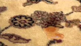 How to Remove Red Wine stain from your Rug?