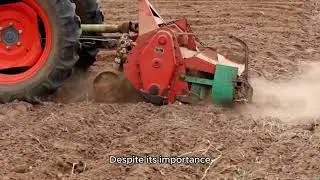 The Role of Agriculture in Pakistan's Economy