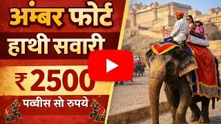 Jaipur Live elephant 🦣 ride ✅ #livevideo #liveelephants #livejaipur #jaipurcity #shortfeed #shorts