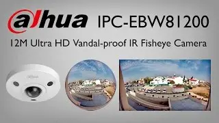 Dahua IPC EBW81200 12M Ultra HD Vandal proof IR Fisheye Camera