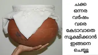 How to Store Jackfruit for more than 1year in an Earthen pot/Authentic Way to Store Jackfruit/Ayshaz