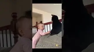Growing Up Together: Babies and Cats Timeline 👶❤️🐈
