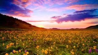 Reconceal - Touch Her Heart (Michael Angelo & Jim Remix)