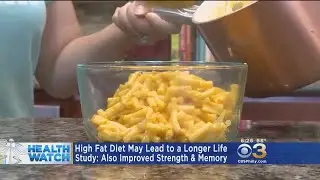 Study: High Fat Diet May Lead To Longer Life