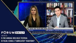 Является ли ежегодный фестиваль собачьего мяса в Юйлине (Китай) &laquo;выдуманной&raquo; традицией?