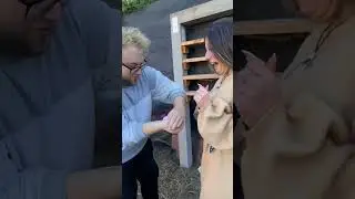😂SHE FREAKED OUT! #cat #magiciantricks #brainteaser #prank #funny #brainmagic #logicpuzzle #comedy