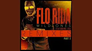 Wild Ones (feat. Sia) (Dave Winnel's Godspeed Mix)