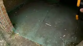 The abandoned goat testing facility animals still there part 1￼