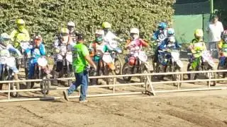 Saisonfinale Walldorf Djmv 2016