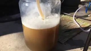 Brewing a New England Pale Ale