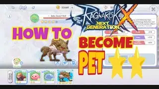 RAGNAROK X NEXT GENERATION PET 2 STAR ⭐⭐