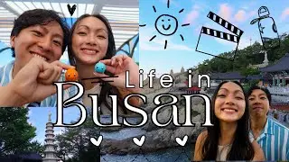 Korea Vlog: Life in Busan! Luge, Haedong Yonggungsa Temple, Lotte Mall and More