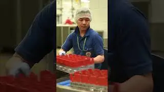 This flight catering facility cleans 3 million pieces of tableware everyday. #deepclean #cleaning