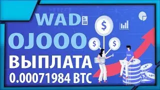 СКАМ! Очередная выплата из зарубежного букса Wad.Ojooo 71984 сатоши