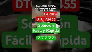 C&oacute;mo solucionar el c&oacute;digo P0455: F&Aacute;CIL y R&aacute;pido. ✅