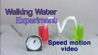 Эксперименты с водой &ndash; Эксперименты по ходьбе по воде, скоростное движение &ndash; домашние эксперименты Лиз и Итан