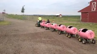 Piggy ride!