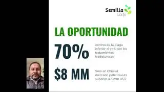 Proyecto Capital Semilla Biocontrolador de Varroasis VII Regi&oacute;n. Postulaci&oacute;n a&ntilde;o 2020