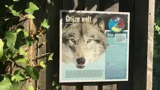 GaiaZoo in kerkrade: Nice collection of animals/Dutch zoo