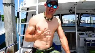 Freediving with sharks!