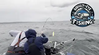 Fall Coho 2025 | Puget Sound | Catch & Filet!
