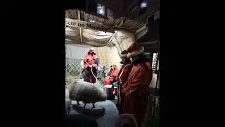 Scenete biblice la Sărbătorile de iarnă &icirc;n Bacău! #love #viral #foryou #trendingshorts #like #live