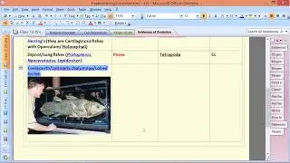 Fossils-4/Evolution by JJS Sir for Class-12, KVPY, NEET, OLYMPIADS (NSEB-INBO-IBO)