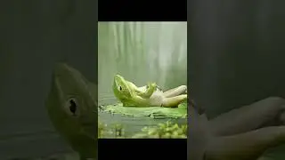 LETSLAUGH#FUNNY#hahahahahaha